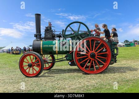 Davey Paxman Traction Engine Number 16849 baute 1911 Registration AF 3373 „Little Audrey“ auf der Smallwood Vintage Rally, Sandbach, Cheshire, England, Großbritannien Stockfoto