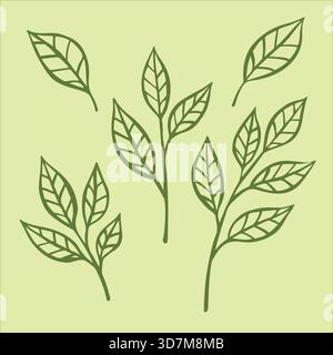 Frischer Matcha-Grüntee, lebendig und charmant, in einem entzückenden Doodle-Stil. Sie sind ordentlich auf einem ruhigen hellgrünen Hintergrund angeordnet Stock Vektor