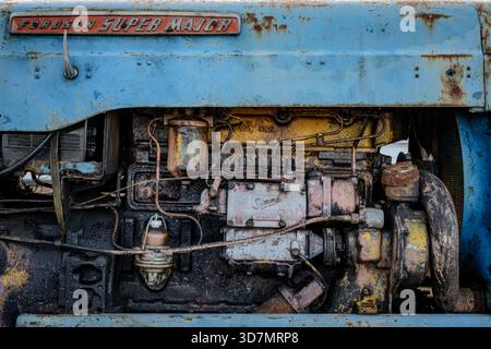 Fordson Traktoren bei Cromer Norfolk, Großbritannien Stockfoto