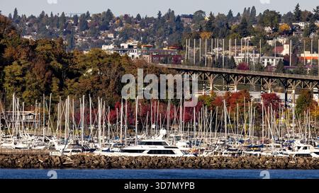 Elliott Bay Marina im Herbst - Seattle, Washington, USA Stockfoto
