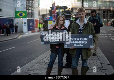 UK. November 2025. PROTEST DER BRITISCHEN LANDWIRTE ZUM HAUSHALTSTAG, LONDON, ENGLAND, VEREINIGTES KÖNIGREICH. Mehrere Menschen wurden verhaftet, nachdem Bauern trotz Polizeibeschränkungen Traktoren in die Londoner Innenstadt gefahren hatten, um einen Protest über Pläne zur Erbschaftssteuer auf landwirtschaftliche Betriebe im Wert von mehr als 1 Mio. £ zu erheben Die Polizei traf die Entscheidung, Landmaschinen aus Whitehall zu verbieten, um „schwere Störungen“ zu vermeiden, die die Fahrzeuge verursacht haben könnten. Zwei Traktoren wurden beschlagnahmt und von Polizisten der Metropolitan Police weggebracht. November 2025. Quelle: Jeff Gilbert/Alamy Live News Stockfoto