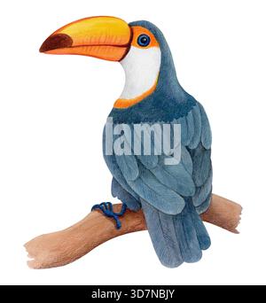 Tropischer toco-Tukan, der auf einem Zweig sitzt, Aquarell-Tierillustration isoliert auf weiß, für Textildrucke, Kinderprojekte. Stockfoto