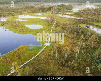 Aus der Vogelperspektive auf die hölzerne Promenade, die sich durch die nebelige Landschaft von Viru Bog im Lahemaa Nationalpark, Estland, schlängelt. Stockfoto