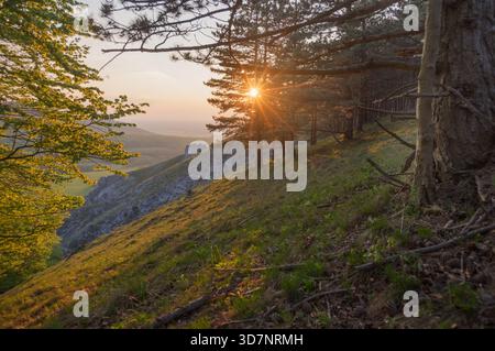 Der Blick auf die Sonne bricht durch die Bäume auf einem grasbewachsenen Hang, mit felsigen Ausbissen in der Ferne, die die Landschaft auf dem Jelenia Skal in goldenes Licht tauchen Stockfoto