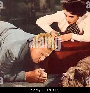 Der große Kater 1950 MGM Film mit Elizabeth Taylor und Van Johnson Stockfoto