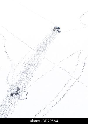Aus der Vogelperspektive von Fahrzeugen, die Wege im Schnee auf der gefrorenen Didziulis-Seenoberfläche verlassen, Moluvenai, Bezirk Trakai, Litauen. Stockfoto