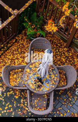 Herbstsaison auf der Terrasse Stockfoto