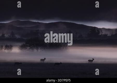 Die Sonne ist längst hinter dem Horizont verschwunden, der aufsteigende Erdnebel beginnt durch die Reflexion des Himmels zu glühen und erscheint darin wie o Stockfoto