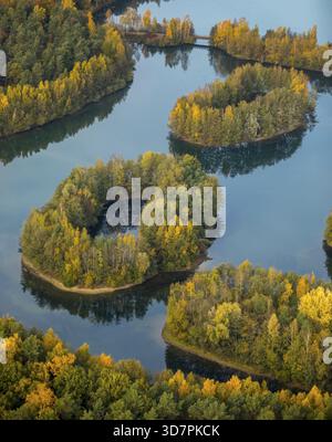 Aus der Vogelperspektive, Heidesee Kirchhellen Grafenwald, Inseln mit Herbstwald, farbenfrohe Herbstblätter, Bergbecken, Kohlebergbau bei der Zeche Prosper Stockfoto