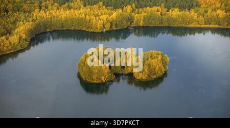 Aus der Vogelperspektive, Heidesee Kirchhellen Grafenwald, Inseln mit Herbstwald, farbenfrohe Herbstblätter, Bergbecken, Kohlebergbau bei der Zeche Prosper Stockfoto
