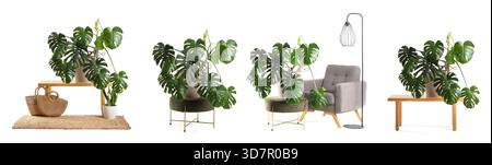 Collage von grünen Monstera-Pflanzen mit Möbeln auf weißem Hintergrund Stockfoto