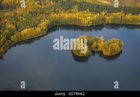 Aus der Vogelperspektive, Heidesee Kirchhellen Grafenwald, Inseln mit Herbstwald, farbenfrohe Herbstblätter, Bergbecken, Kohlebergbau bei der Zeche Prosper Stockfoto
