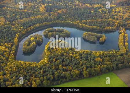Aus der Vogelperspektive, Heidesee Kirchhellen Grafenwald, Inseln mit Herbstwald, farbenfrohe Herbstblätter, Bergbecken, Kohlebergbau bei der Zeche Prosper Stockfoto