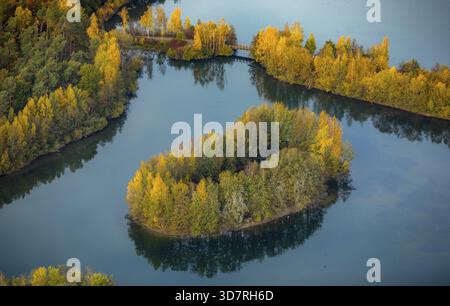 Aus der Vogelperspektive, Heidesee Kirchhellen Grafenwald, Inseln mit Herbstwald, farbenfrohe Herbstblätter, Bergbecken, Kohlebergbau bei der Zeche Prosper Stockfoto