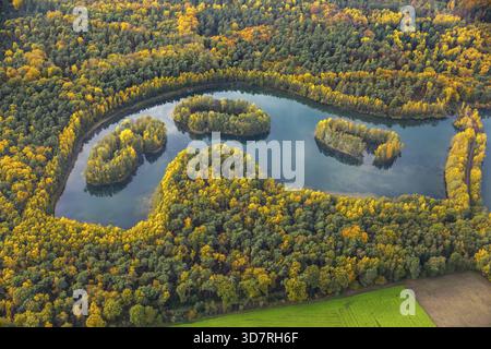 Aus der Vogelperspektive, Heidesee Kirchhellen Grafenwald, Inseln mit Herbstwald, farbenfrohe Herbstblätter, Bergbecken, Kohlebergbau bei der Zeche Prosper Stockfoto