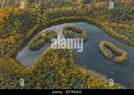 Aus der Vogelperspektive, Heidesee Kirchhellen Grafenwald, Inseln mit Herbstwald, farbenfrohe Herbstblätter, Bergbecken, Kohlebergbau bei der Zeche Prosper Stockfoto