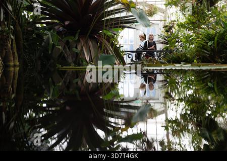 Besucher des Reflection Pool im Conservatory of Flowers, Golden Gate Park Stockfoto