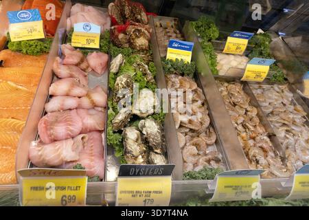 Frische Meeresfrüchte auf Eis im Lebensmittelgeschäft Vitrine Stockfoto