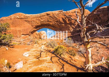 Farbenfroher Blick auf den Arches National Park, Utah, mit seinen berühmten roten Sandsteinbögen und dramatischen Felsformationen. Stockfoto
