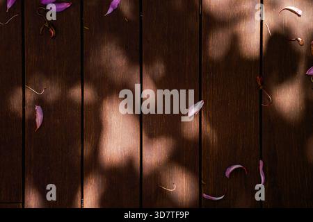 Nahaufnahme verwitterter Holzdielen mit detaillierter Textur und Körnung. Natürliches Licht unterstreicht den Oberflächencharakter des Holzes. Stockfoto