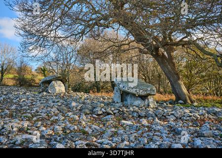 Dyffryn Ardudwy prähistorisches Kammergrab in Nordwales Stockfoto
