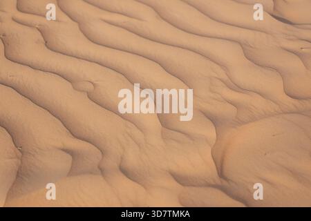 Wellen aus goldenem Sand in der Wüste, die die natürliche Schönheit und einzigartige Muster des Windes zeigen. Hochwertige Fotos Stockfoto