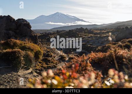 Wandern Sie auf dem zerklüfteten vulkanischen Pfad in der Nähe des Mount Ruapehu, Tongariro National Park, Neuseeland Stockfoto