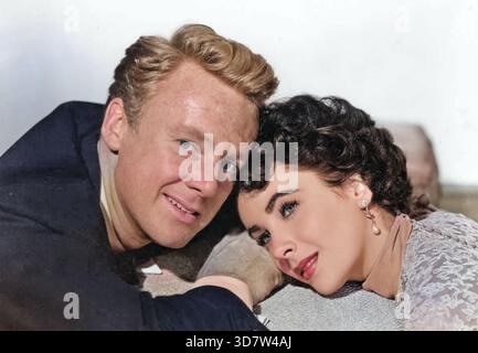 Der große Kater 1950 MGM Film mit Elizabeth Taylor und Van Johnson Stockfoto