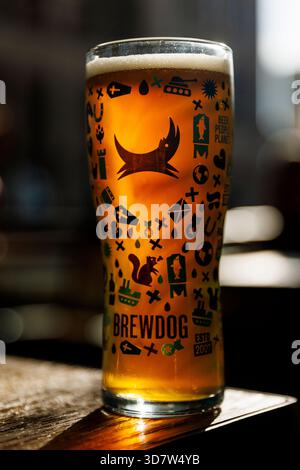 Manchester, England - 17.08.2025: Bier in einem BrewDog-Glas serviert, das von warmem Sonnenlicht beleuchtet wird. Das Bild hebt das Goldene hervor Stockfoto