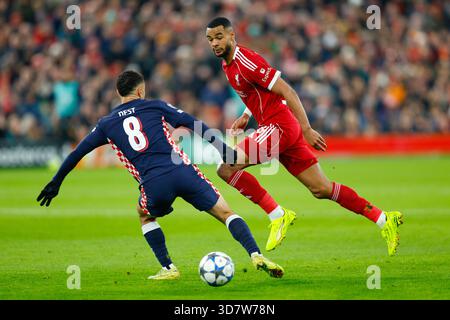 Liverpool, Großbritannien. November 2025. Cody Gakpo aus Liverpool und Sergino Dest vom PSV Eindhoven während des Spiels Liverpool gegen PSV Eindhoven in Anfield, Liverpool. Der Bildnachweis sollte lauten: James Baylis/Sportimage Credit: Sportimage Ltd/Alamy Live News Stockfoto