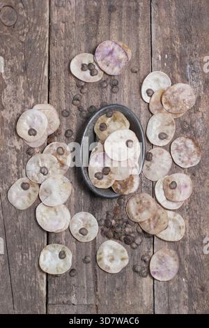 Seeds. Silbrige scheibenförmige Samenkapseln und Samen der Ehrlichkeit, eine Blume am Wegesrand, auch bekannt als Lunaria annua, gesammelt in einer Vintage-Dose. Stockfoto