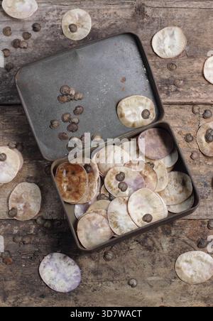 Ehrensamen. Samen und silbrige scheibenförmige Samenkapseln aus Honesty-Blüten, auch bekannt als Lunaria annua, gesammelt in einer Metalldose Stockfoto