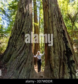 Porträt einer Wanderer, die zwischen zwei Mammutbäumen am Dipsea Trail steht Stockfoto