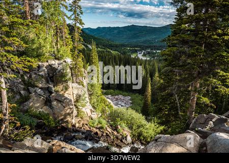 Bergwasserfall, der sich an felsigen Hängen hinabstürzt, mit bewaldetem Valley vista, Brighton Lakes Trail, Utah Stockfoto