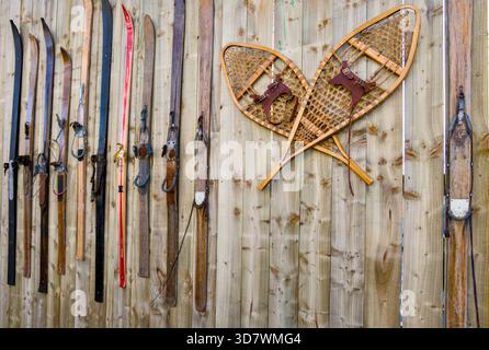 Eine Sammlung antiker Holzskier und traditioneller lederbezogener Schneeschuhe hängt senkrecht an einem rustikalen, alten Holzzaun. Dieses Gerät, Stockfoto