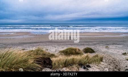 Eine Einzelfigur spaziert entlang eines riesigen Strandes, während die Wellen unter einem stimmungsvollen blauen Himmel hereinrollen. Dünen und Gräser im Vordergrund bilden eine friedliche, weitläufige Meereslandschaft Stockfoto