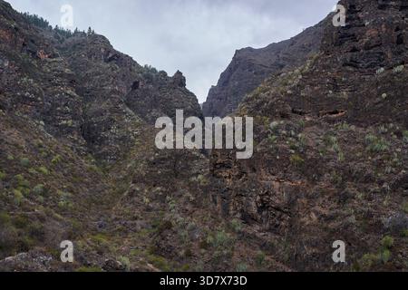 Der mehrschichtige vulkanische Felsgipfel mit dünner, saftiger Vegetation erhebt sich über den Wänden des Canyons in Barranco del Infierno Teneriffa Stockfoto