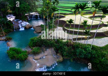 Wunderschöner Luftblick auf den Sonnenaufgang über den Wee Kacura-Wasserfall mit üppigen Reisterrassen, Palmen und türkisfarbenen Pools auf der Insel Sumba, Indonesien. Stockfoto