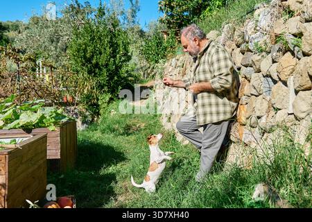 Senior Mann spielt mit Jack Russell Terrier Hund auf der Farm Stockfoto