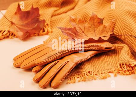 Herbstkonzept mit Handschuhen, Schal und trockenem Ahornblatt Stockfoto