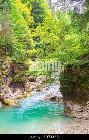 Der türkisfarbene Fluss Slizza schlängelt sich durch felsige Schluchten und Wälder in der Nähe von Tarvisio in den Julischen Alpen, Italien Stockfoto