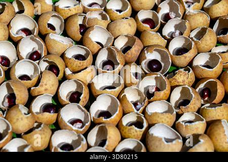 Die Shell und die Knochen von der Thailändischen Obst longan. Longan peel Shell und Korn Hintergrund. Exotische Früchte in Thailand, Nahaufnahme Stockfoto