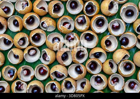 Die Shell und die Knochen von der Thailändischen Obst longan. Longan peel Shell und Korn Hintergrund. Exotische Früchte in Thailand, Nahaufnahme Stockfoto