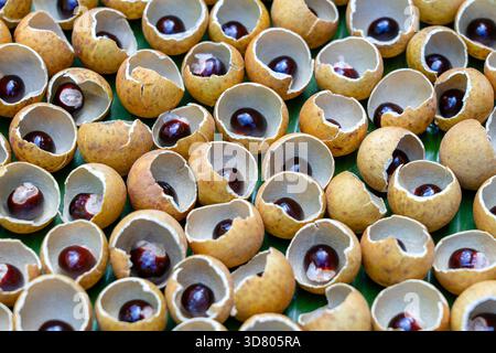 Die Shell und die Knochen von der Thailändischen Obst longan. Longan peel Shell und Korn Hintergrund. Exotische Früchte in Thailand, Nahaufnahme Stockfoto