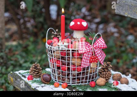silvester-Arrangement mit einer roten Kerze, Fliegenpilz, Walnüssen, Kecknüssen und Krabbenäpfeln in einem Korb im Wintergarten Stockfoto