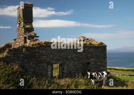 Ruine aus Stein auf der Insel Valentia auf dem Skellig-Ring im County Kerry in der Region Munster in Irland Stockfoto