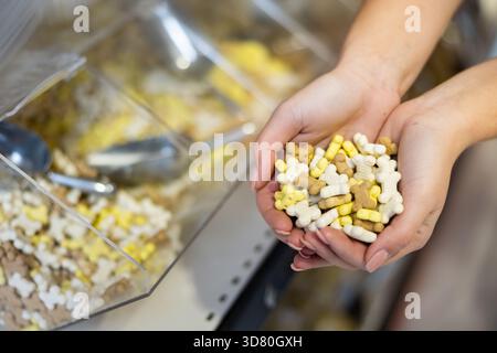 Eine Handvoll nahrhafter knochenförmiger Hundesnacks in weiblichen Händen Stockfoto