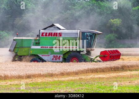 Grüner Mähdrescher in Aktion auf Weizenfeld unter blauem Himmel. August 2025. Warschau, Polen. Stockfoto