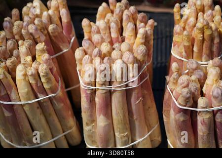 Vista de cerca de espárragos blancos en el mercado. Stockfoto