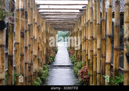 Ein symmetrischer Pfad, der aus Bambusstangen besteht, die einen Überkopftunnel bilden. Der nasse gepflasterte Weg ist gesäumt von grünen und rötlich-violetten Pflanzen. Wasser Stockfoto